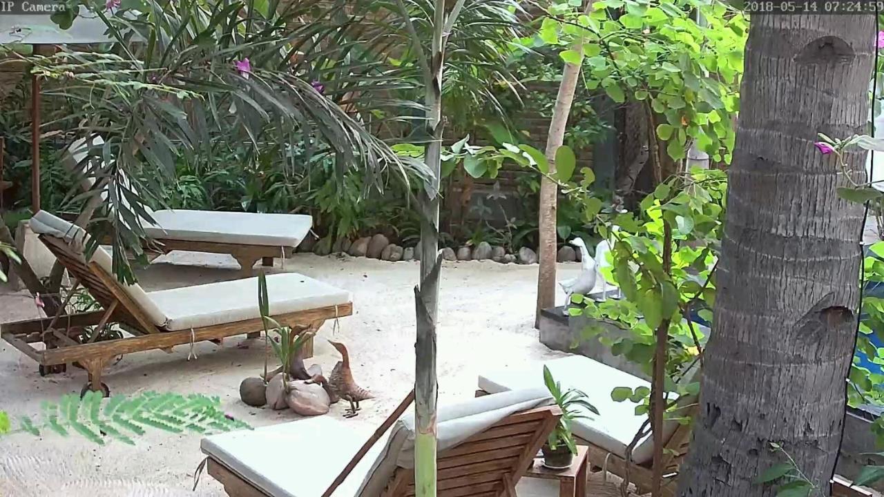 Villas Light House - Eco-Traditional Joglo Gili Trawangan Exteriér fotografie
